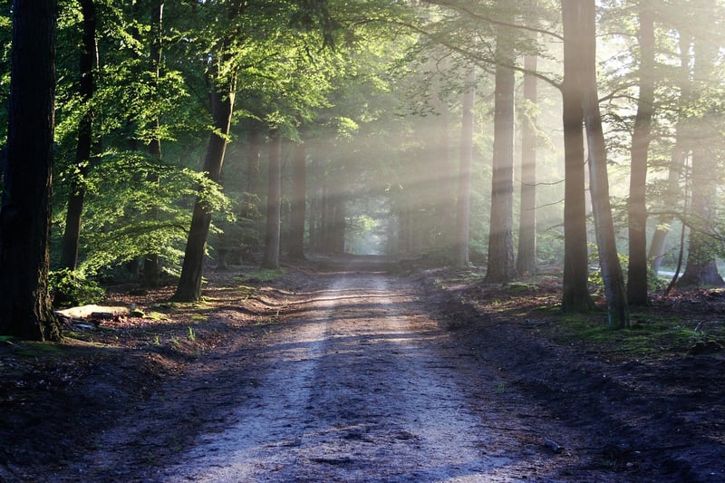 Meditative Walks